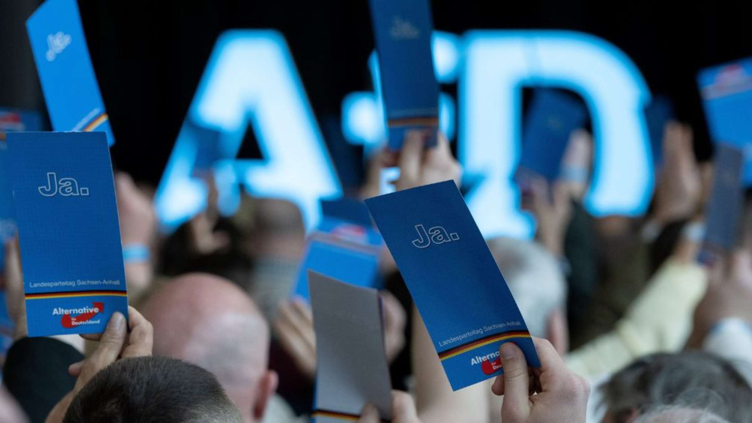 Die AfD: Eine Satire-Partei zur Irreführung des Volkes?